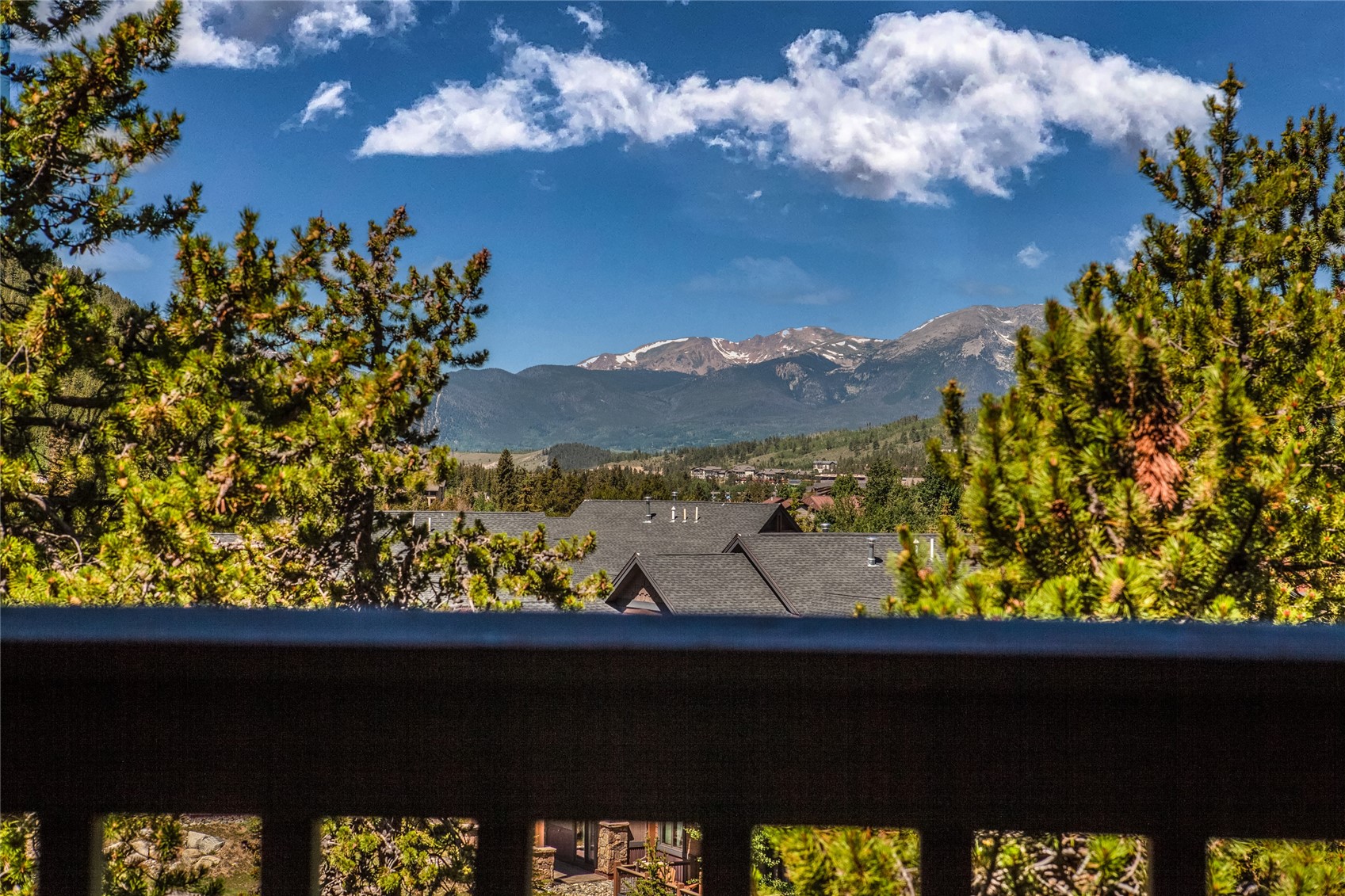 135 Dercum DRIVE 8634