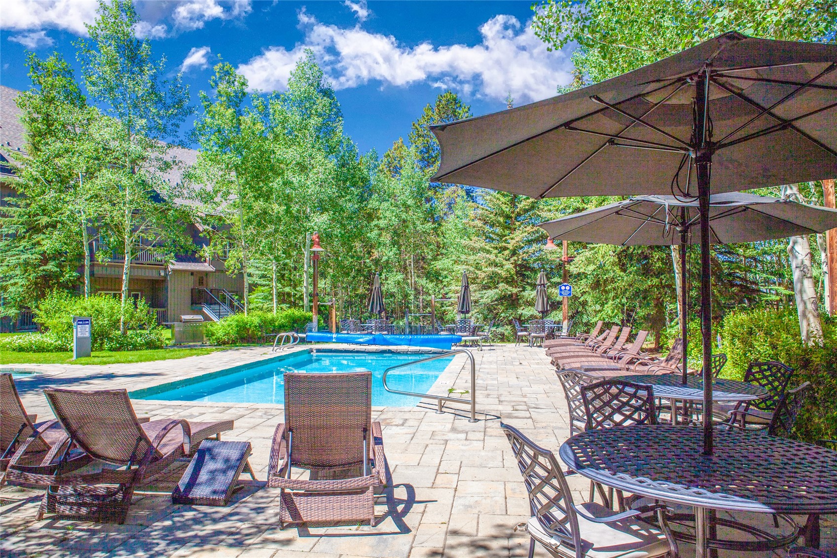135 Dercum DRIVE 8634
