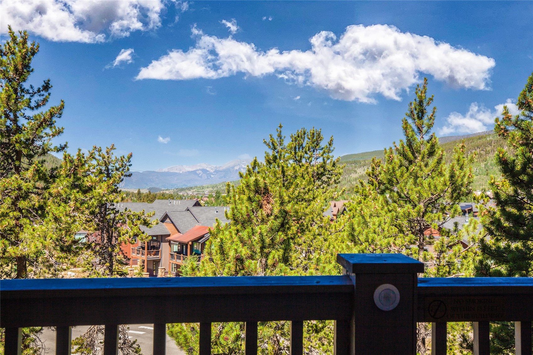 135 Dercum DRIVE 8634