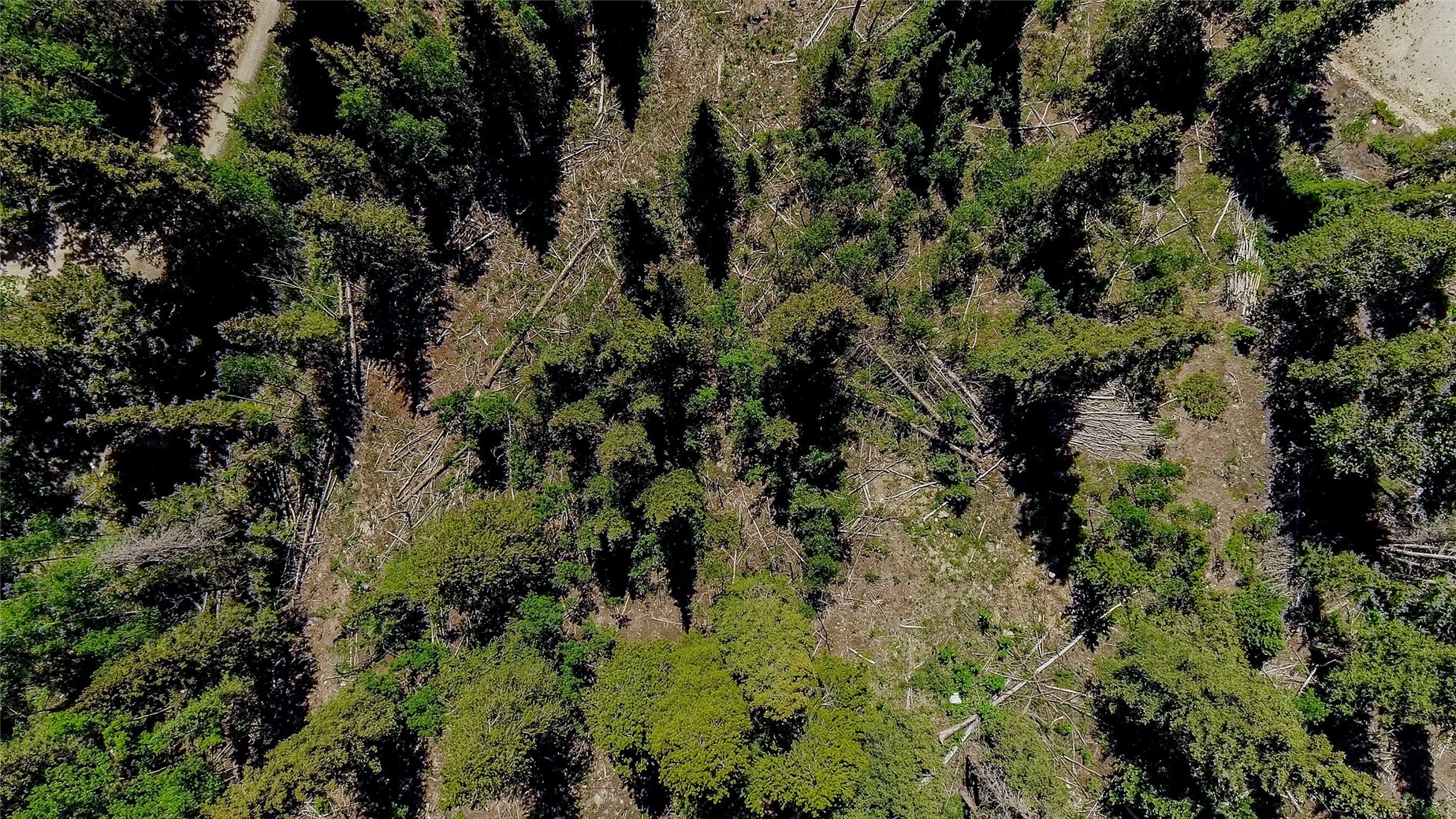 275 Mine Dump ROAD