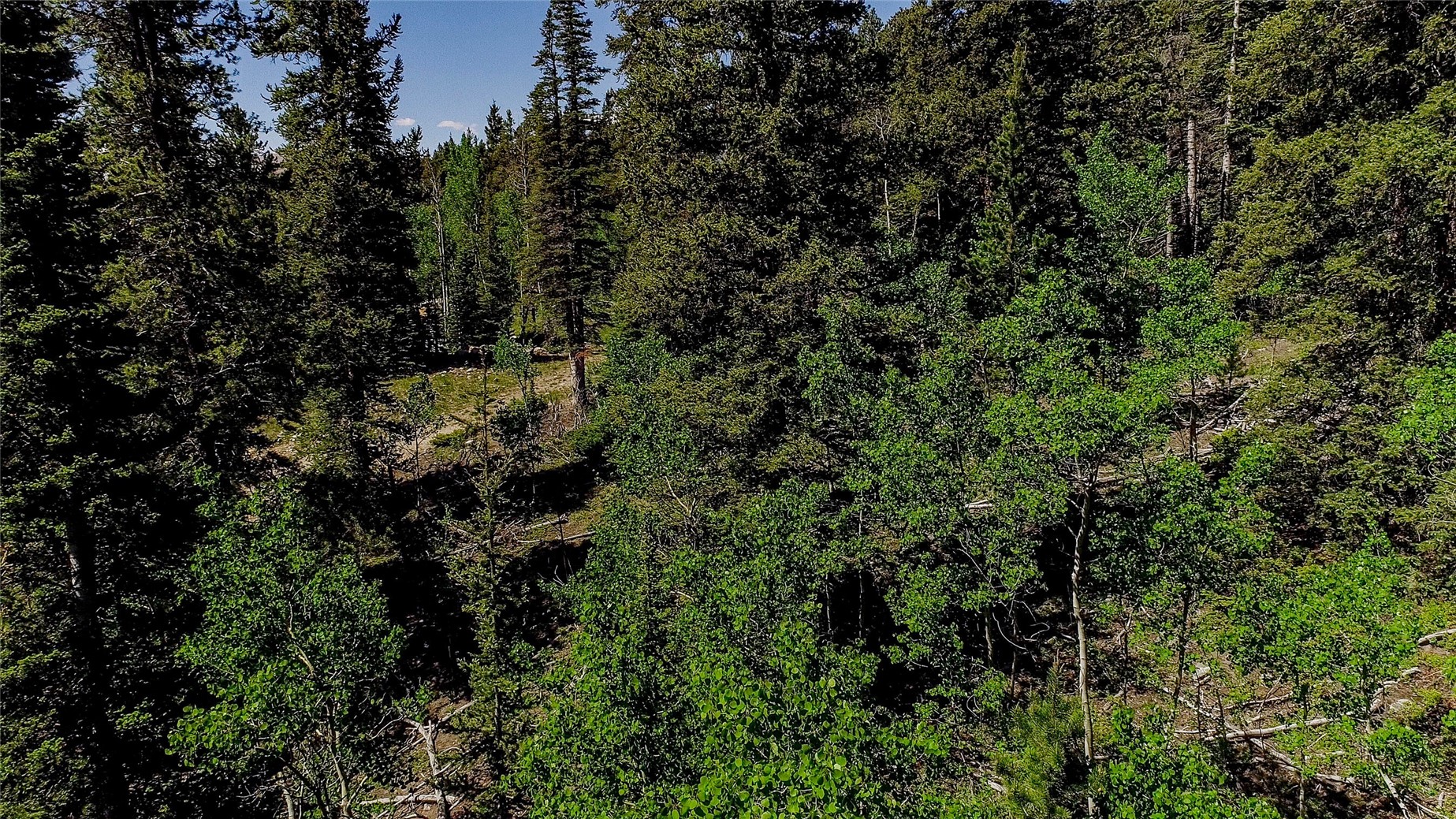 275 Mine Dump ROAD