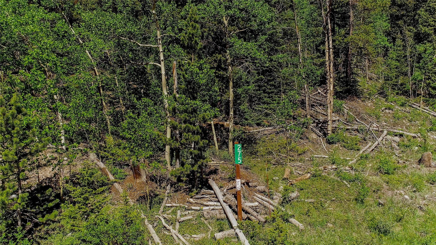 275 Mine Dump ROAD