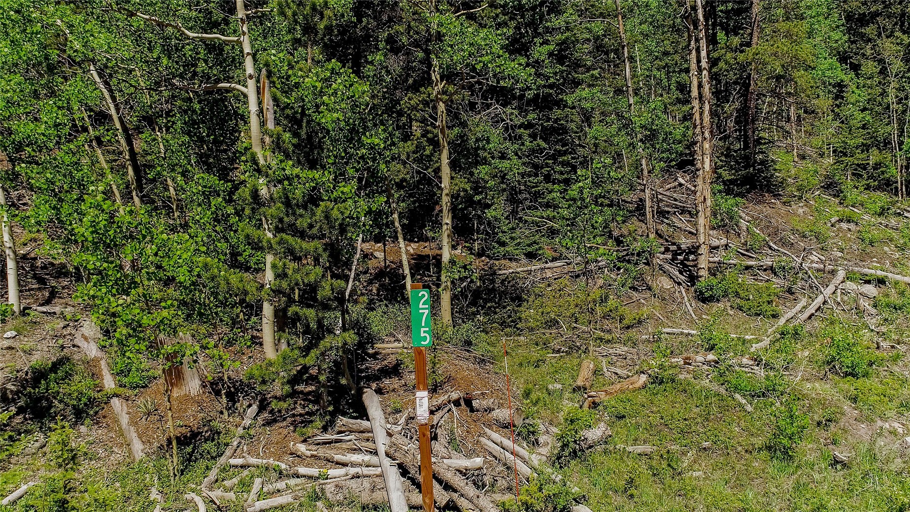 275 Mine Dump ROAD