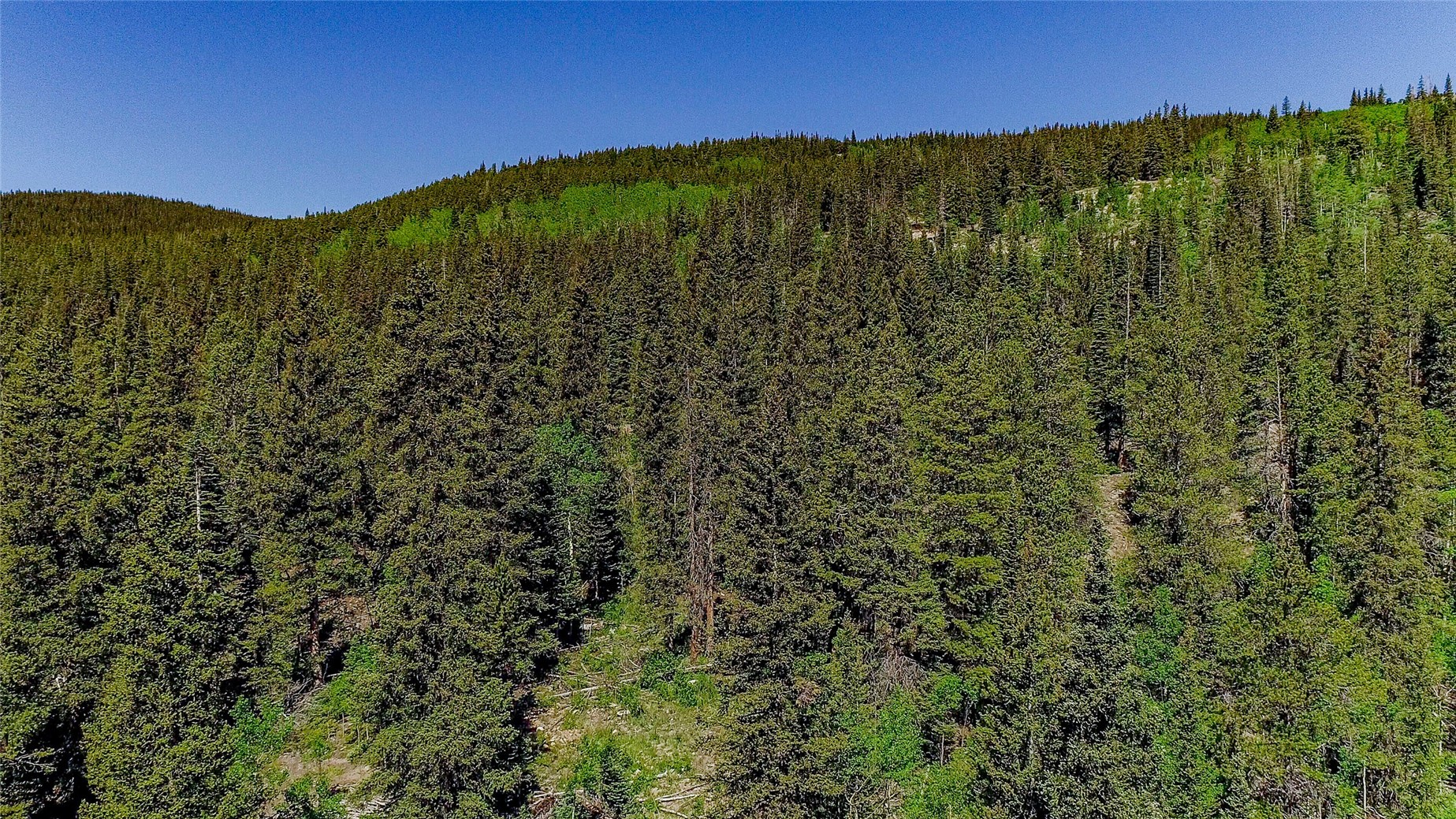275 Mine Dump ROAD