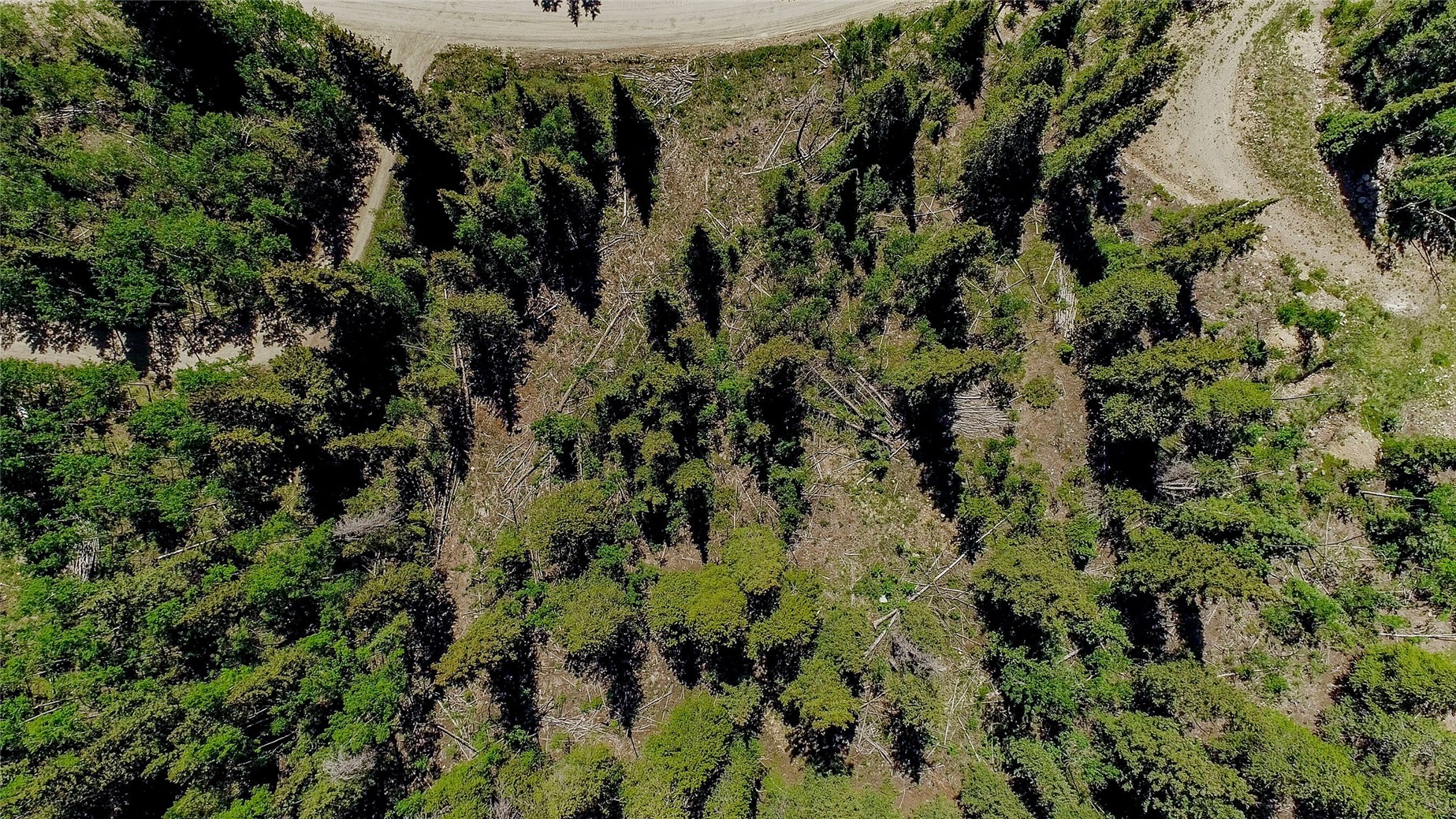 275 Mine Dump ROAD