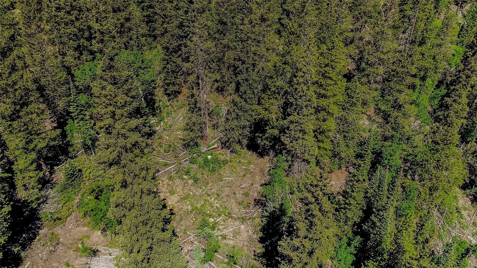 275 Mine Dump ROAD