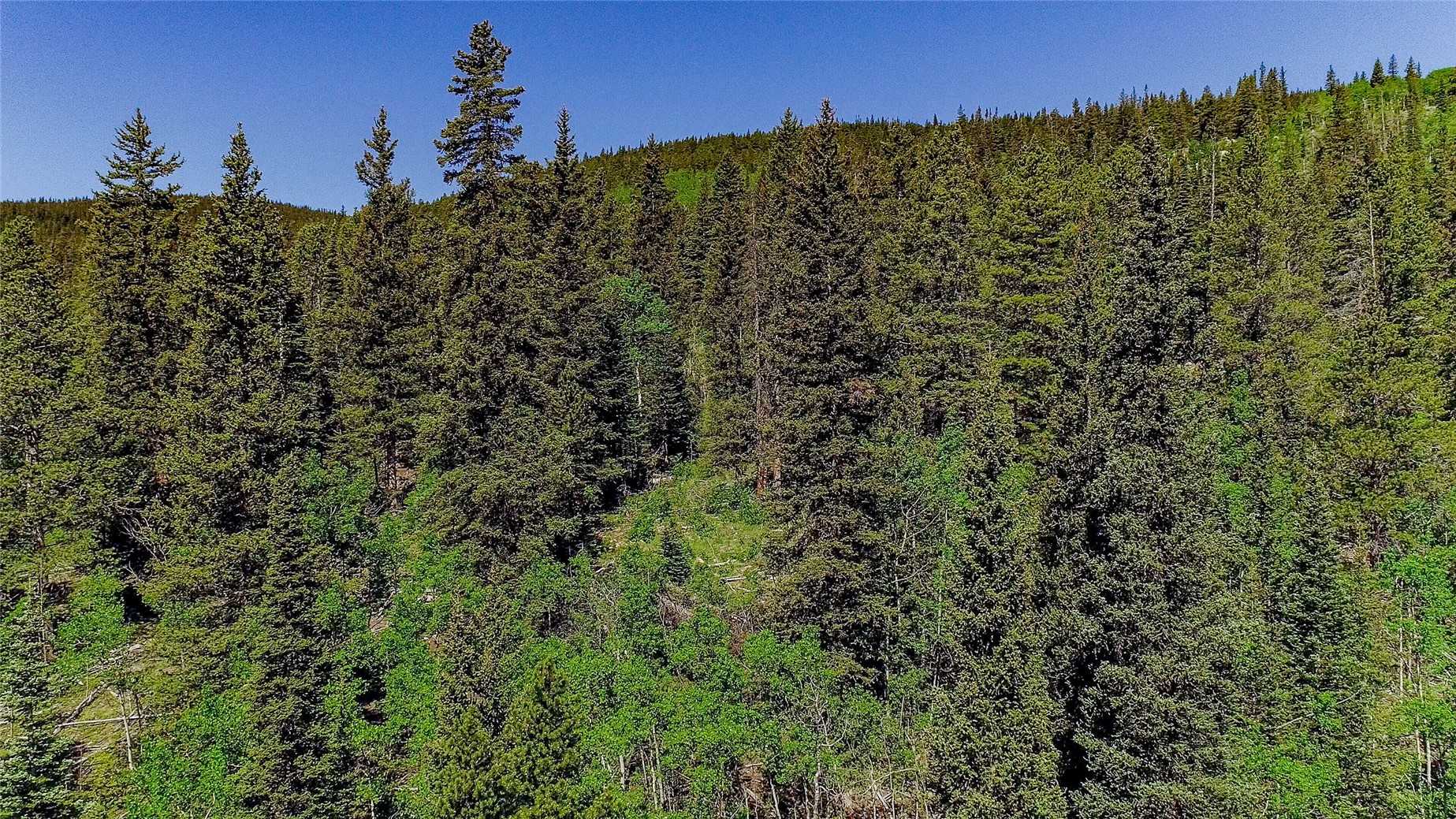 275 Mine Dump ROAD