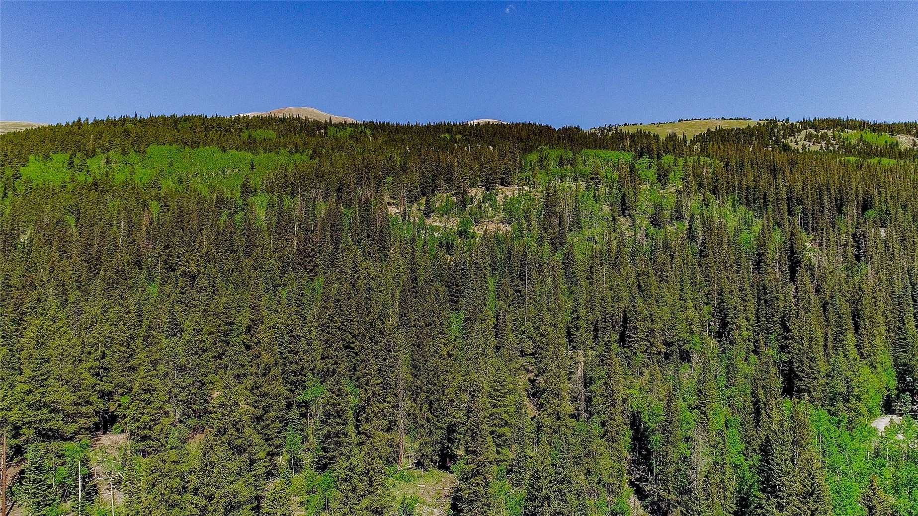 275 Mine Dump ROAD