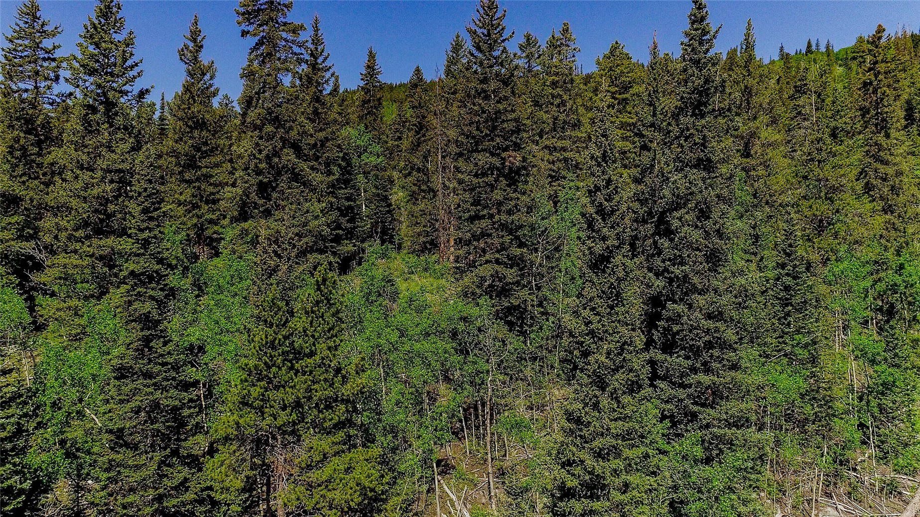 275 Mine Dump ROAD