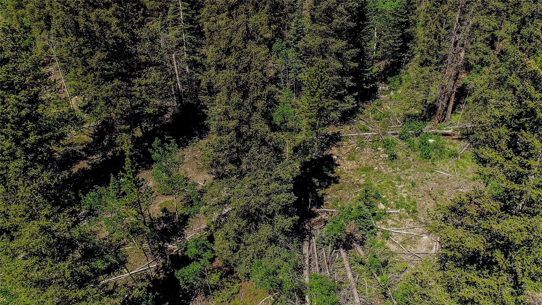 275 Mine Dump ROAD
