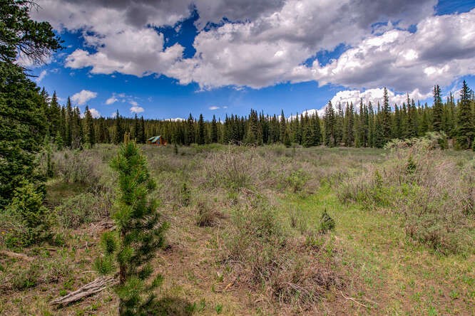 2715 County Road 14A