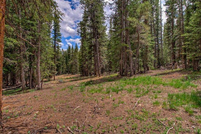 2715 County Road 14A