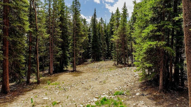 2715 County Road 14A