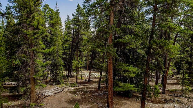 2715 County Road 14A