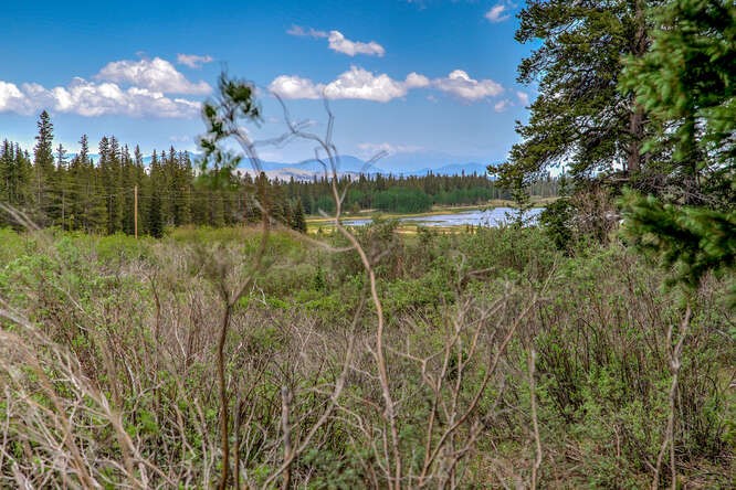 2715 County Road 14A