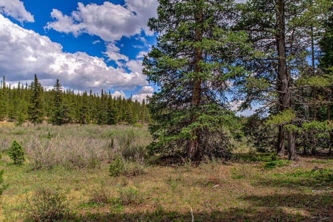 2715 County Road 14A