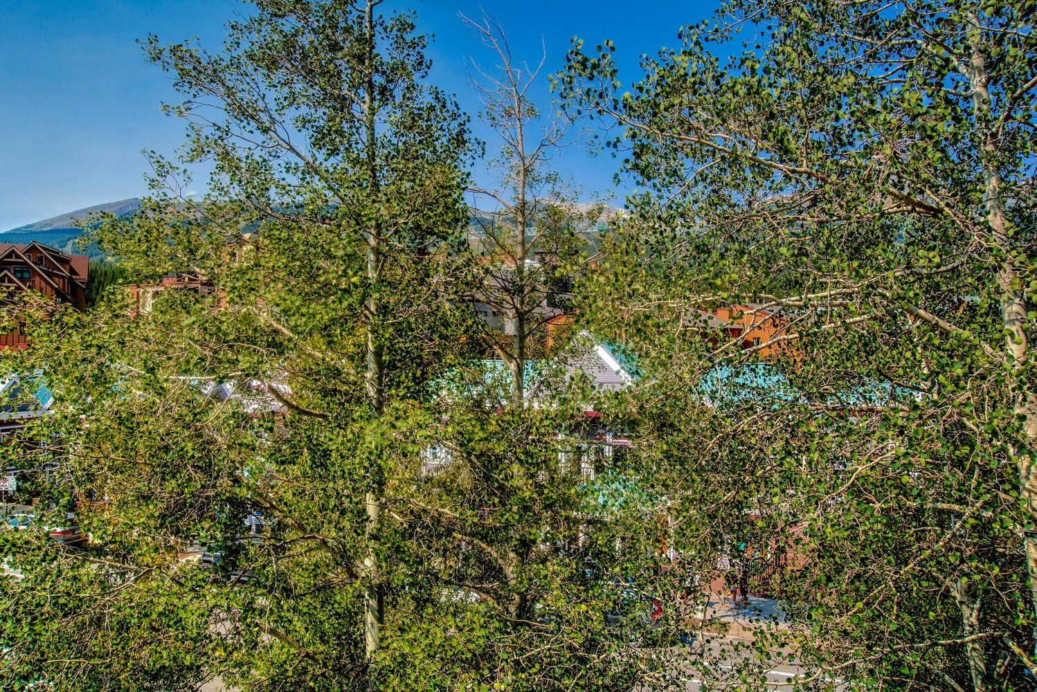 412 S Main STREET 321