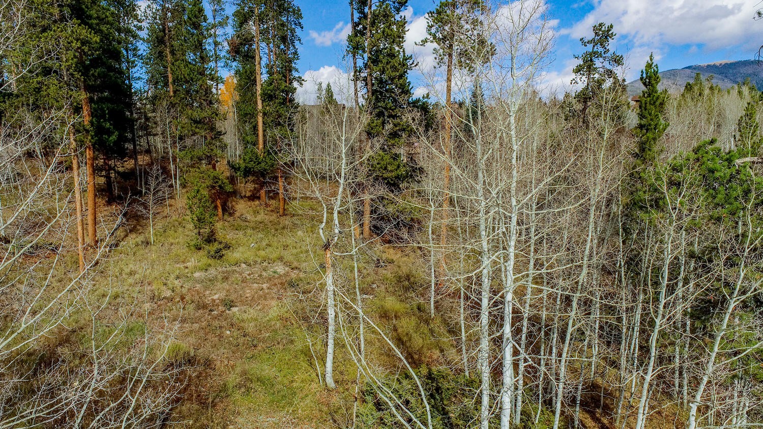 1650 Falcon CIRCLE