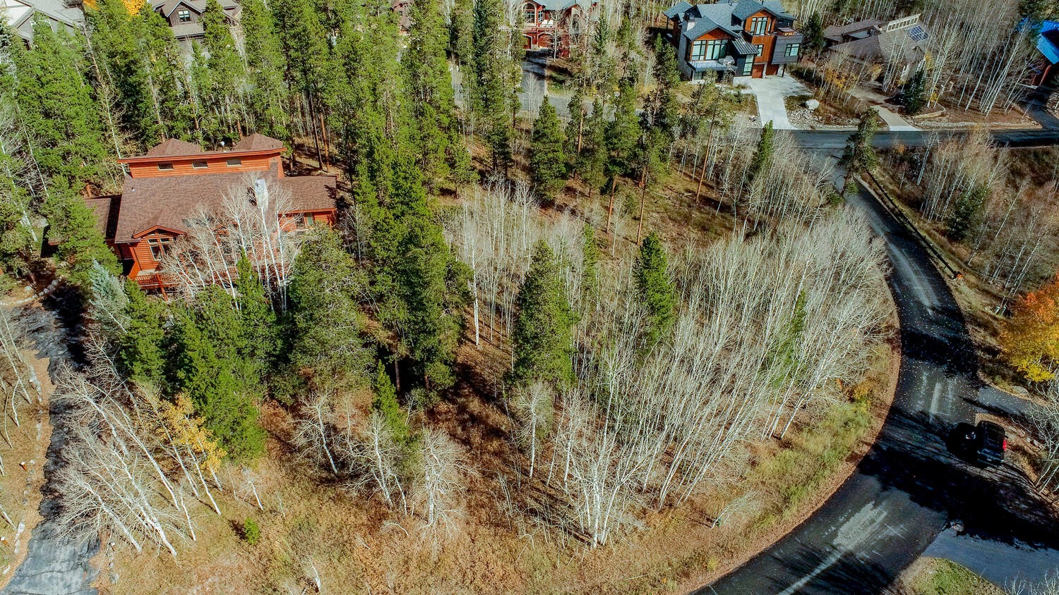1650 Falcon CIRCLE