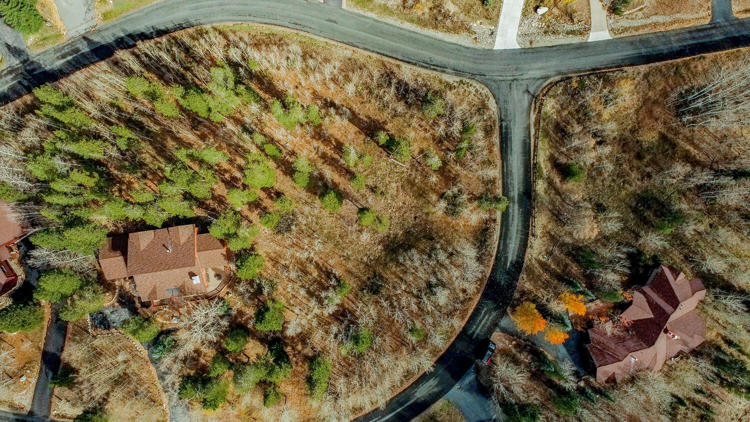 1650 Falcon CIRCLE