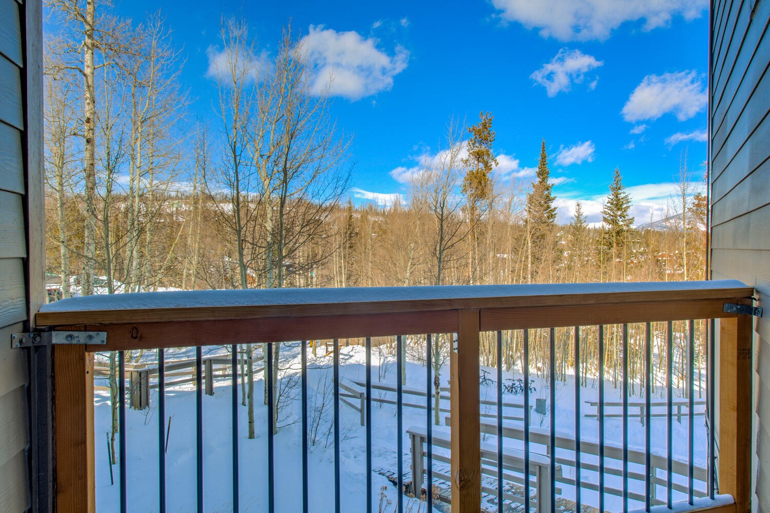 2300 Lodgepole CIRCLE 101
