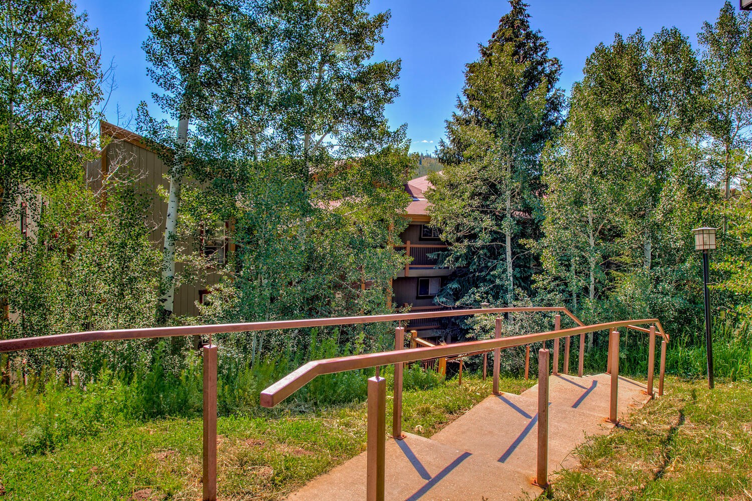 2442 Ryan Gulch COURT 2442