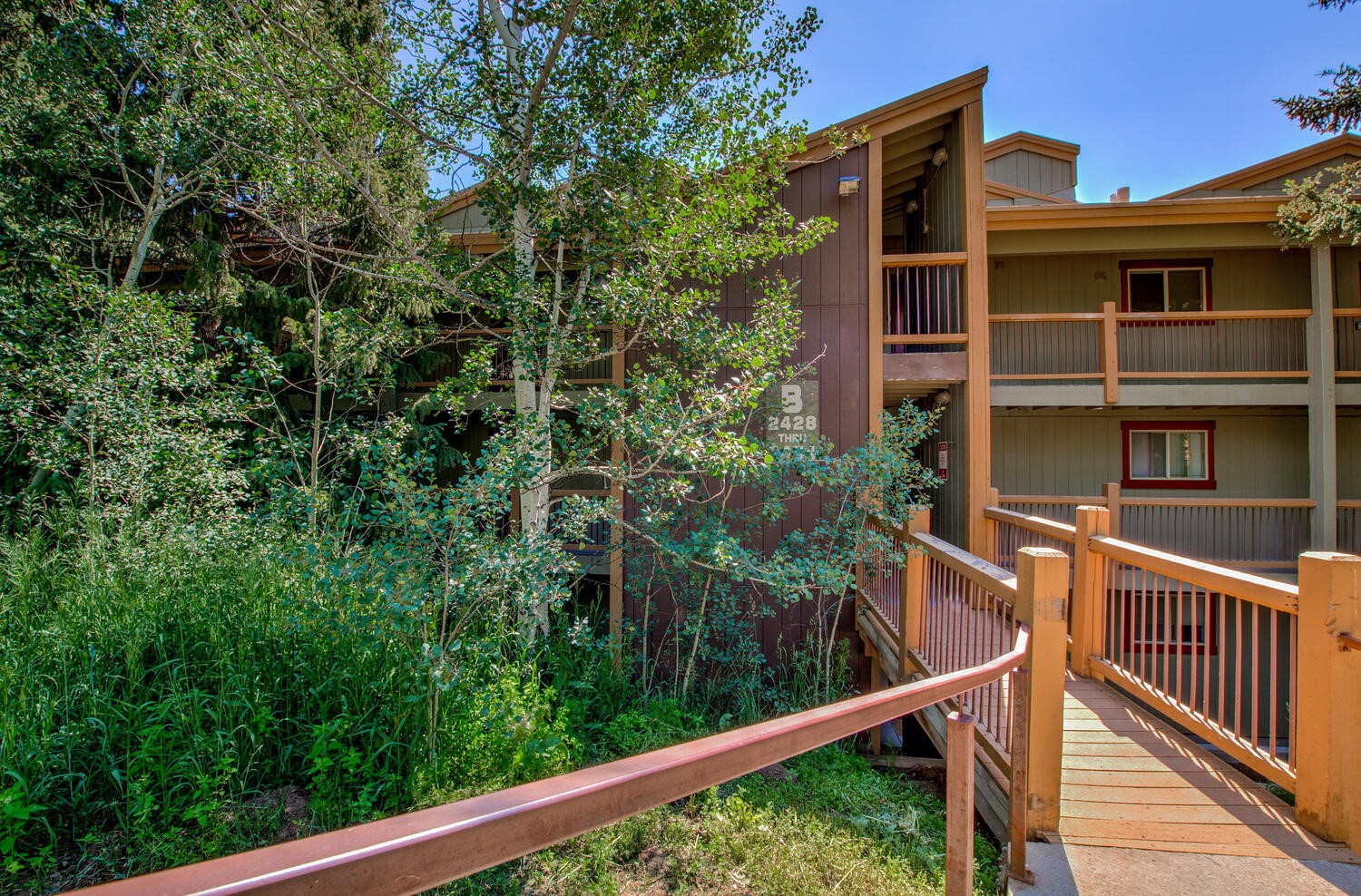 2442 Ryan Gulch COURT 2442