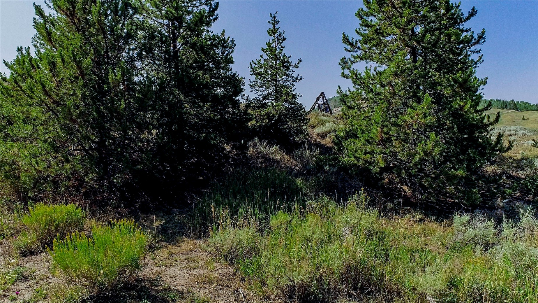 889 E Anemone TRAIL