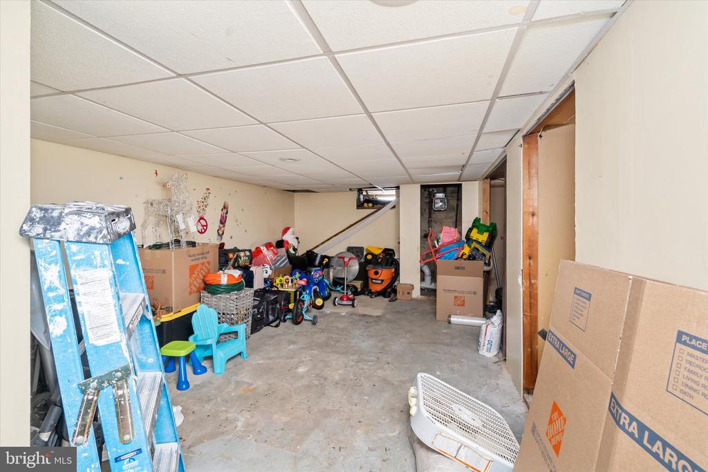 12 MOTT STREET
