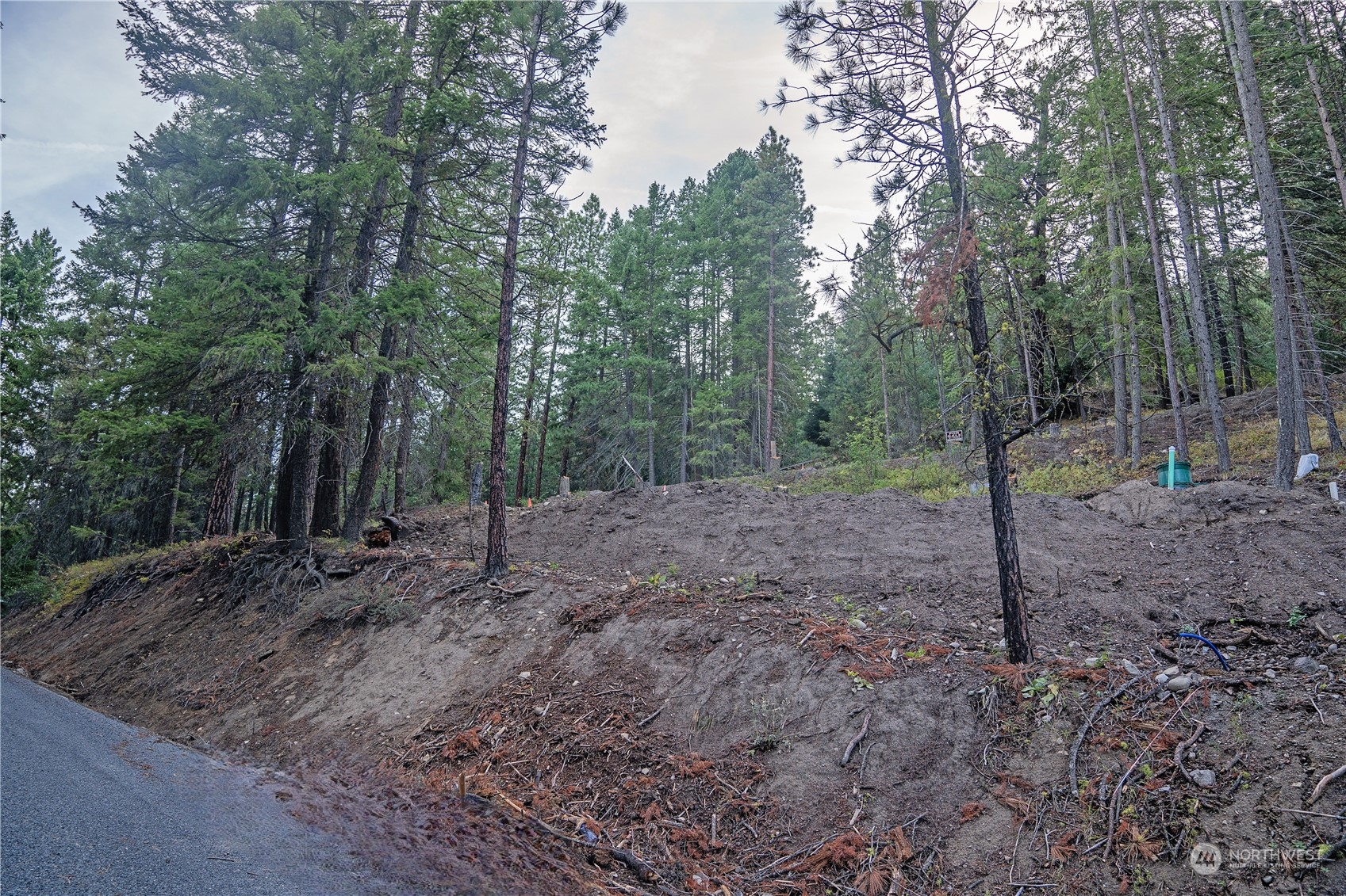 25514 Camp 12 Road