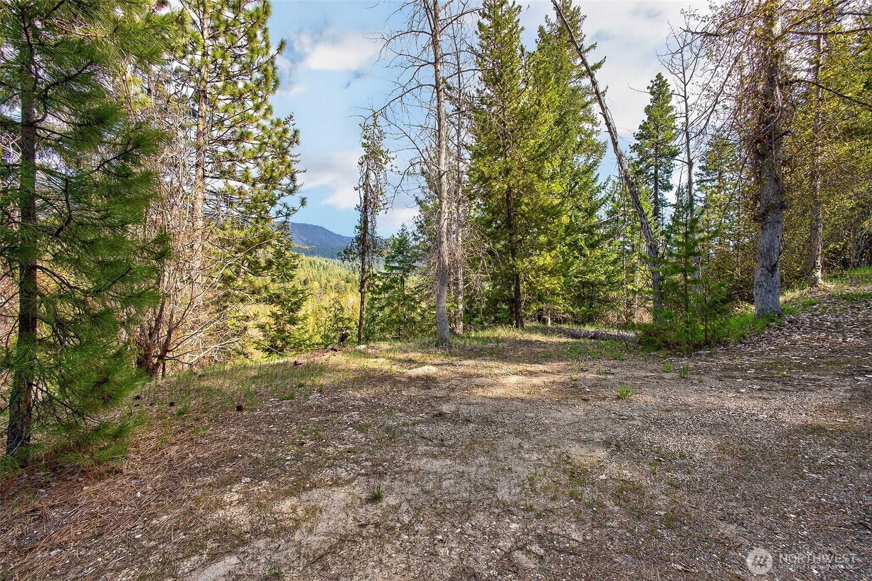 0 Salal Drive