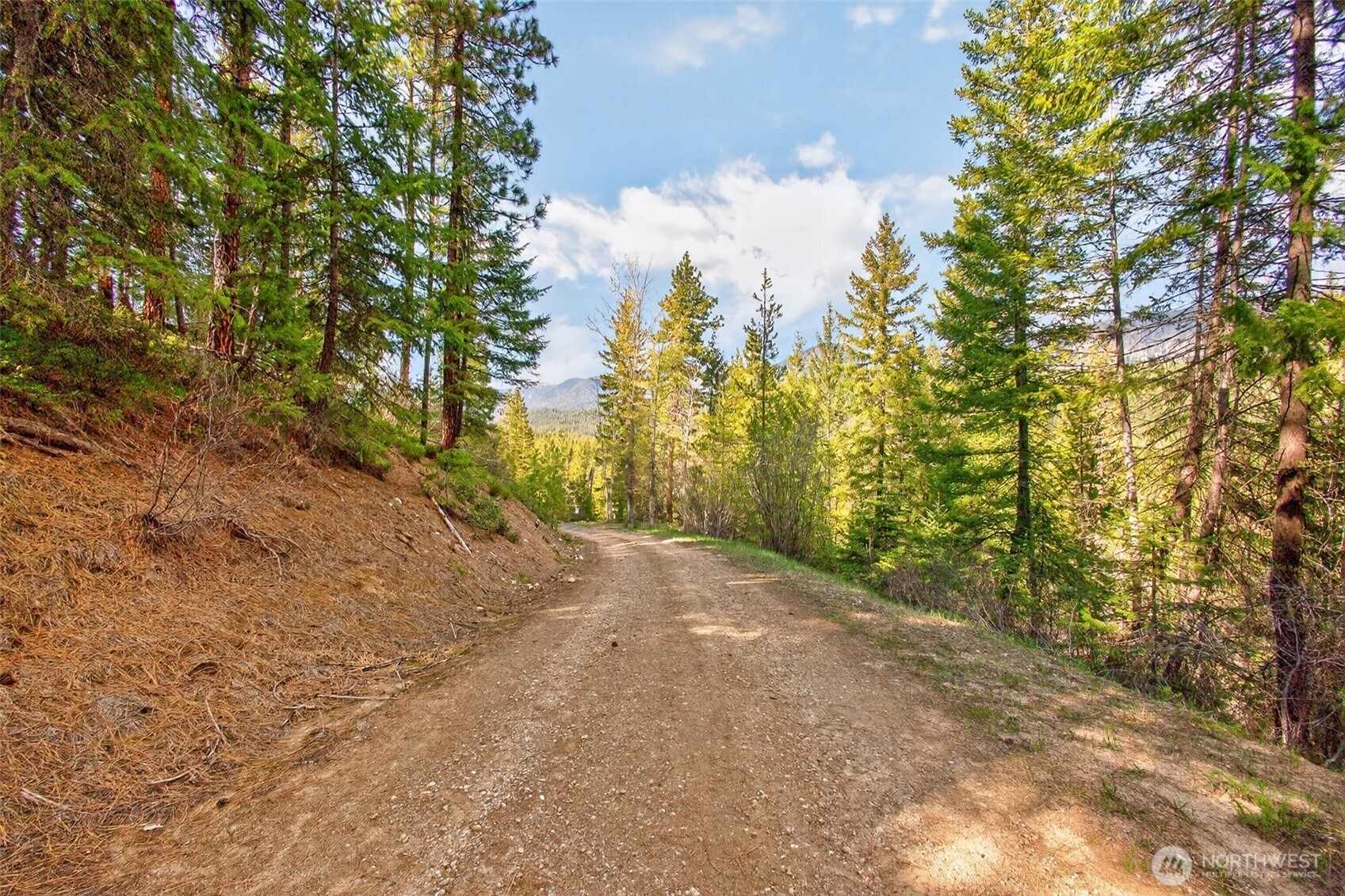 0 Salal Drive