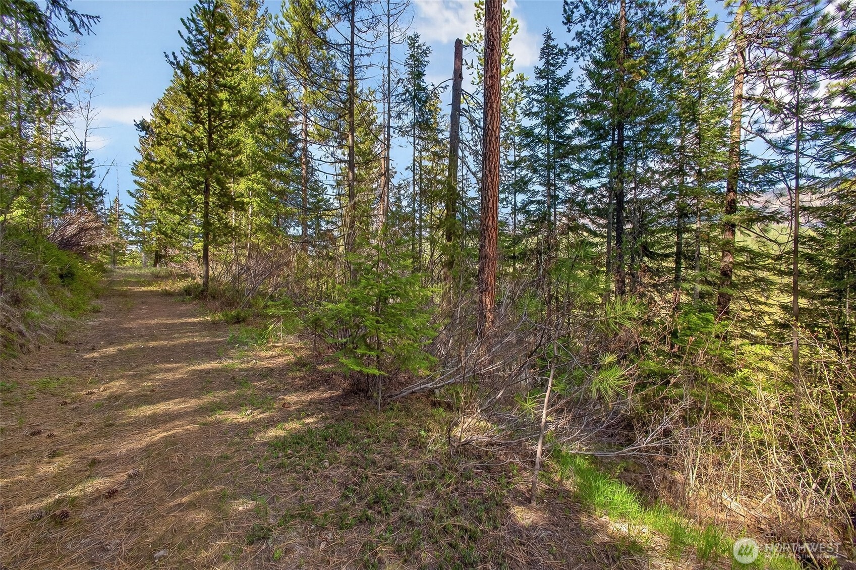 0 Salal Drive