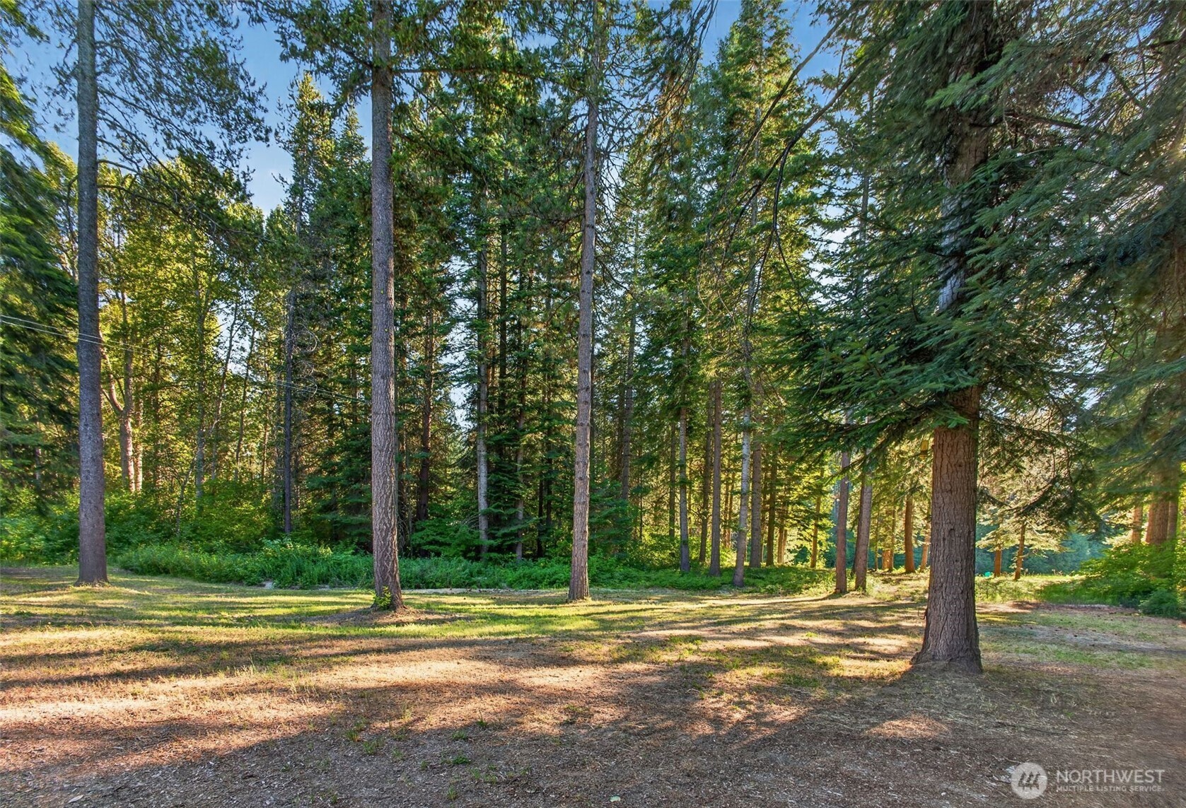 12369 S Shugart Flats Road
