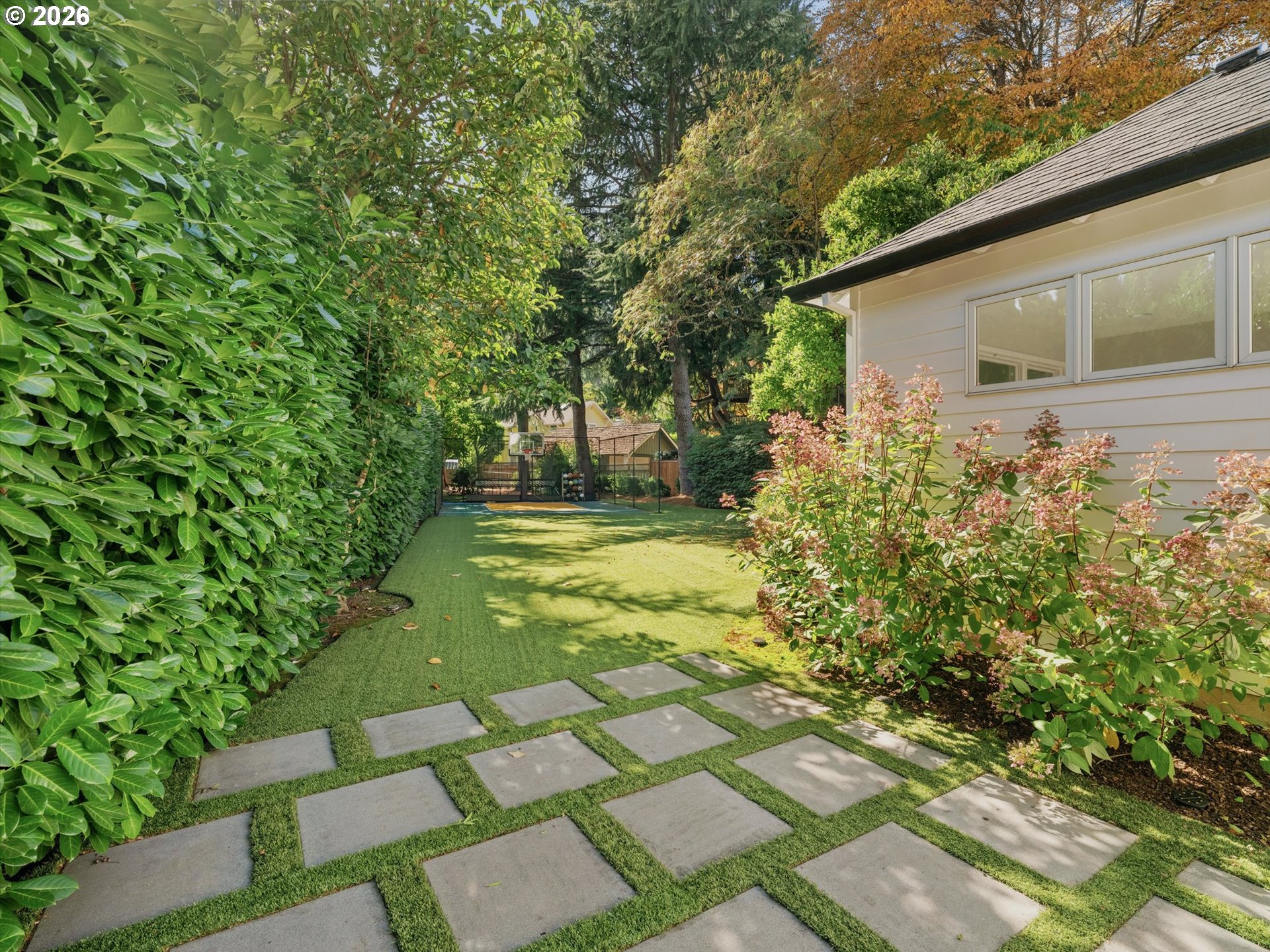 Landscaped side yard with artificial turf, stepping stones, flowering shrubs, and a basketball hoop.