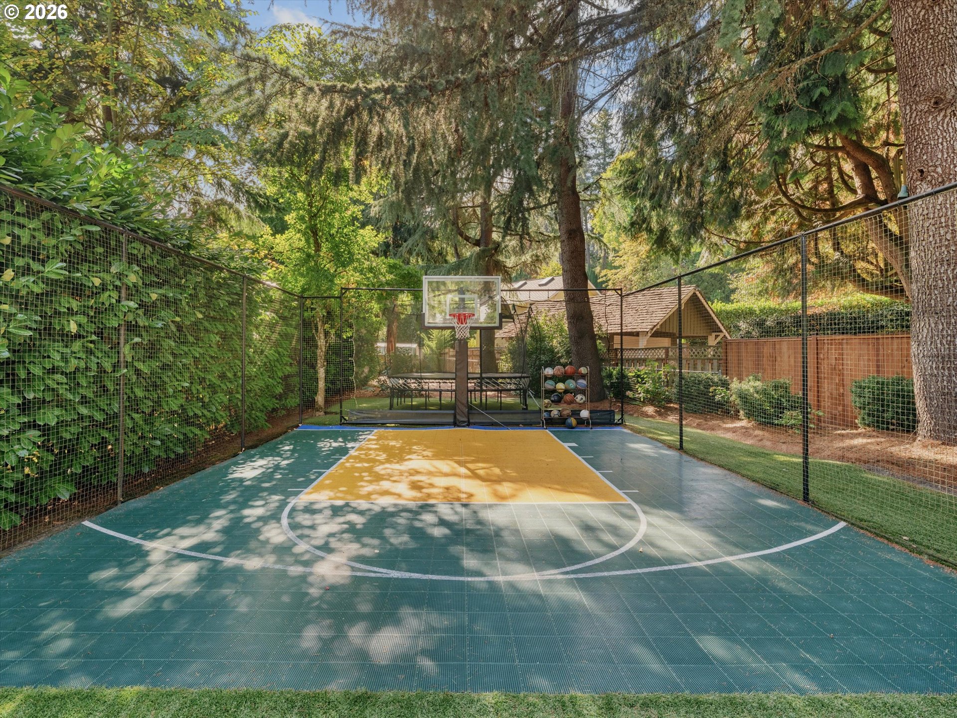 Fenced outdoor basketball court beneath mature trees, with a hoop and rack of basketballs.