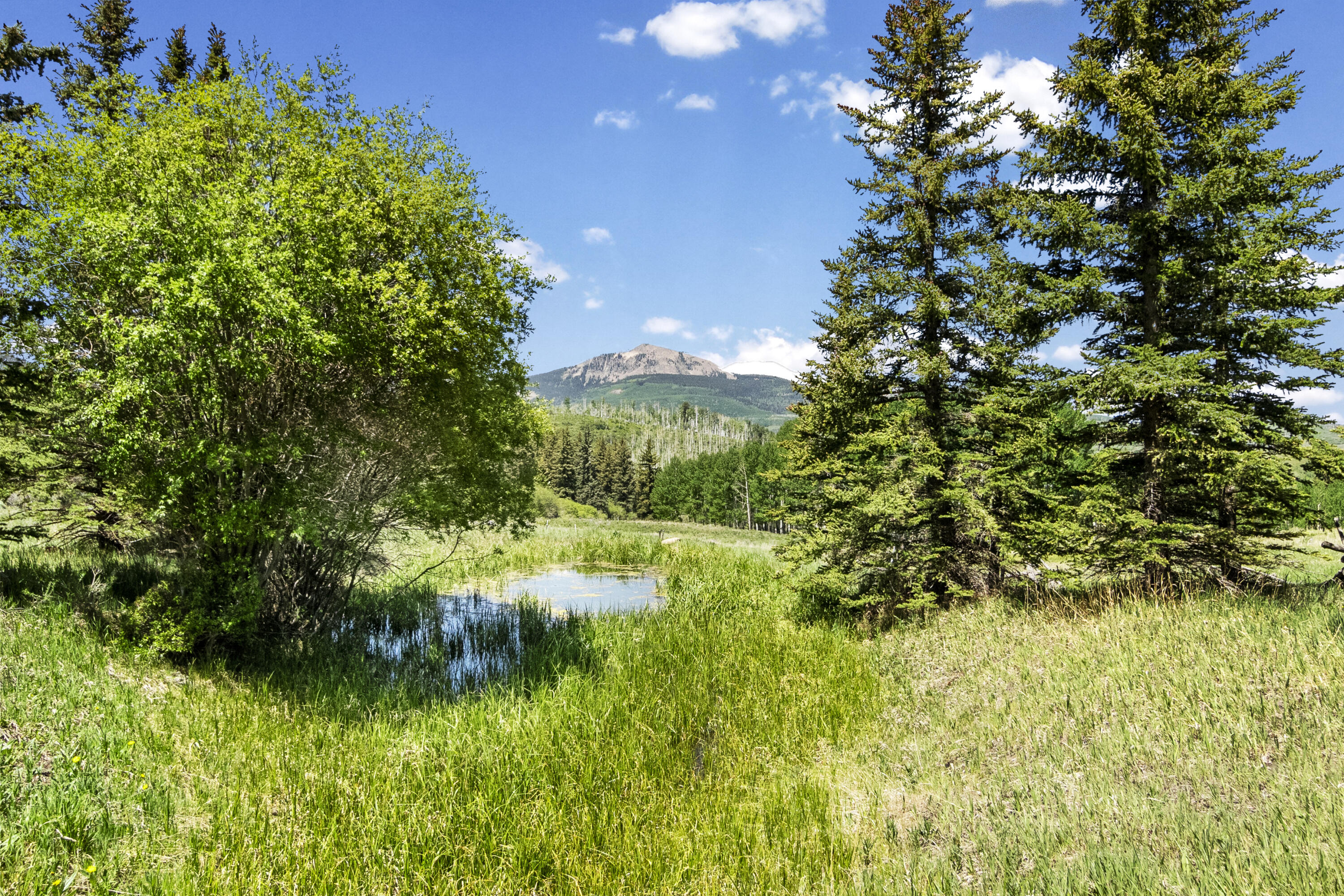 TBD Wilson Mesa Ranch Circle