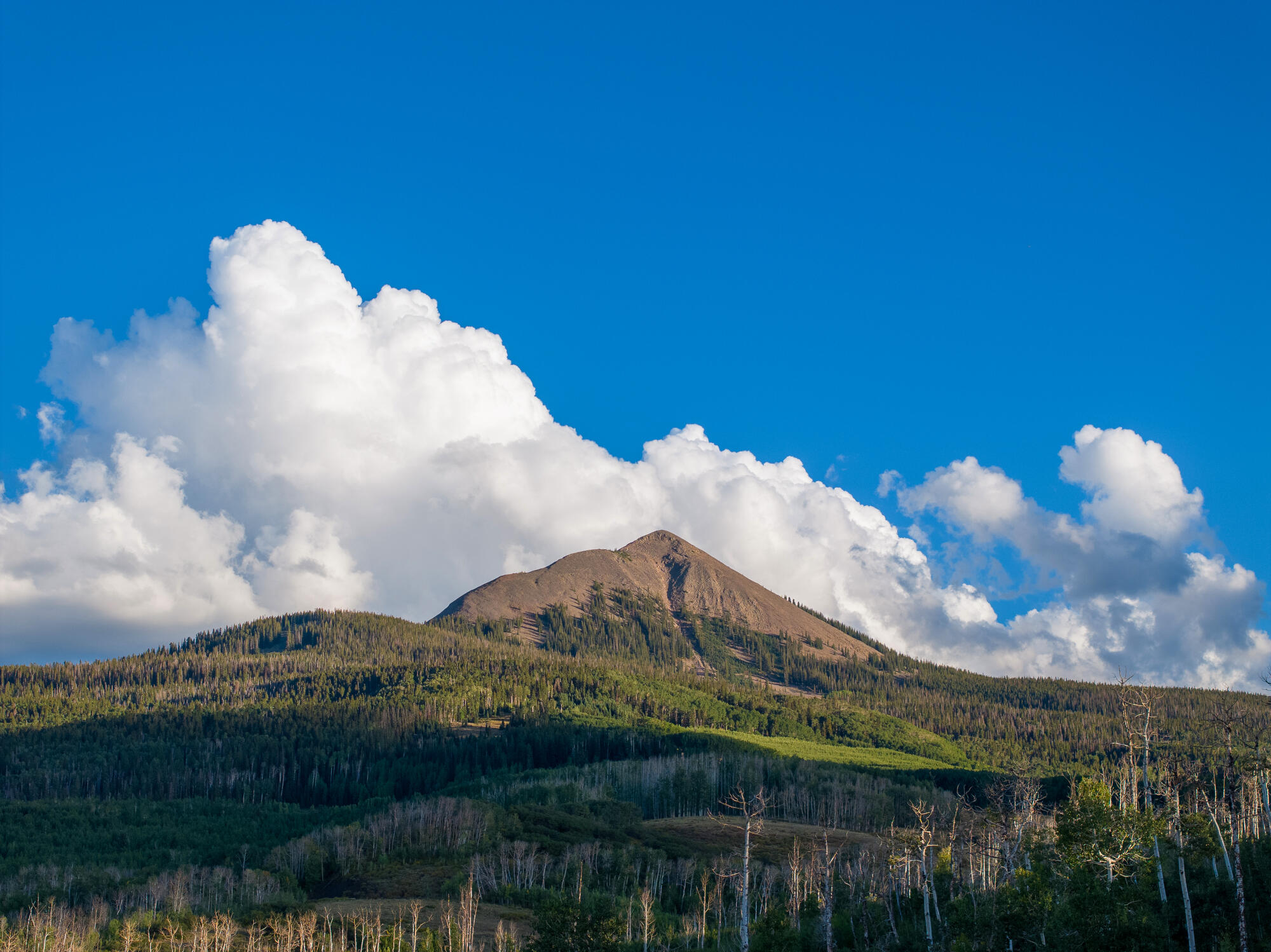 1006 Top of the World Drive
