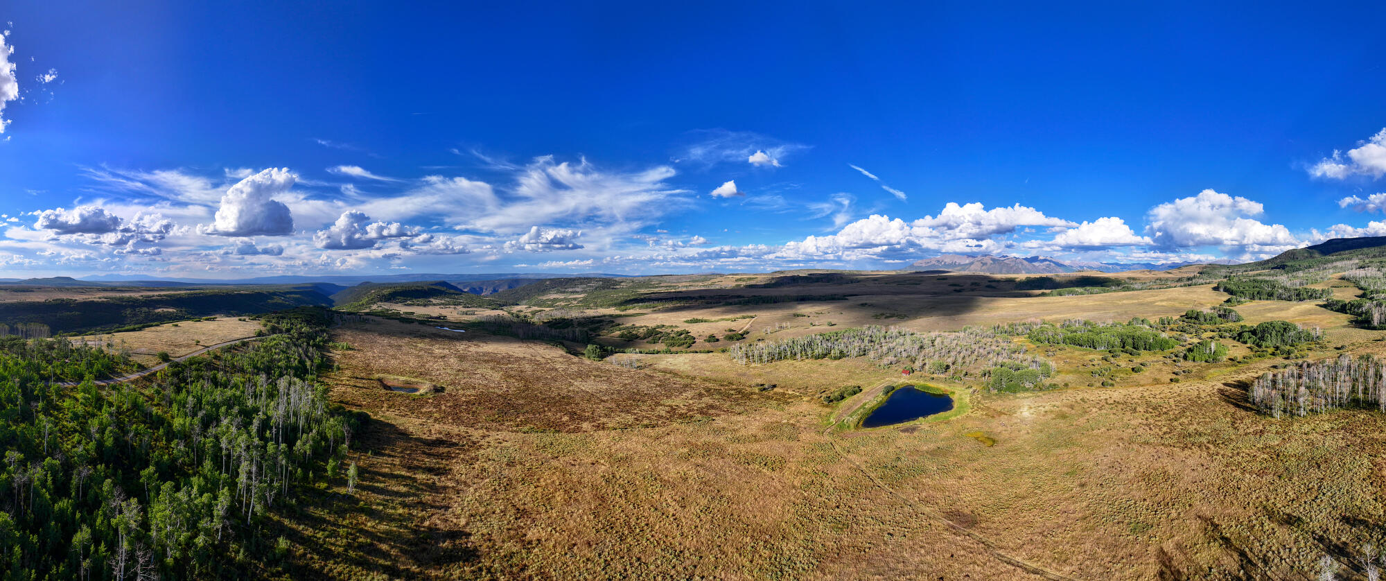 1006 Top of the World Drive