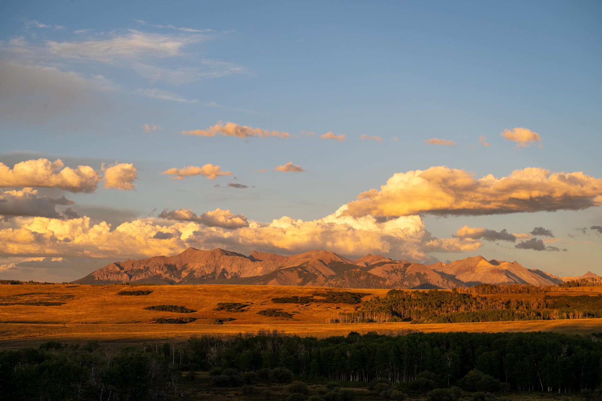 1006 Top of the World Drive