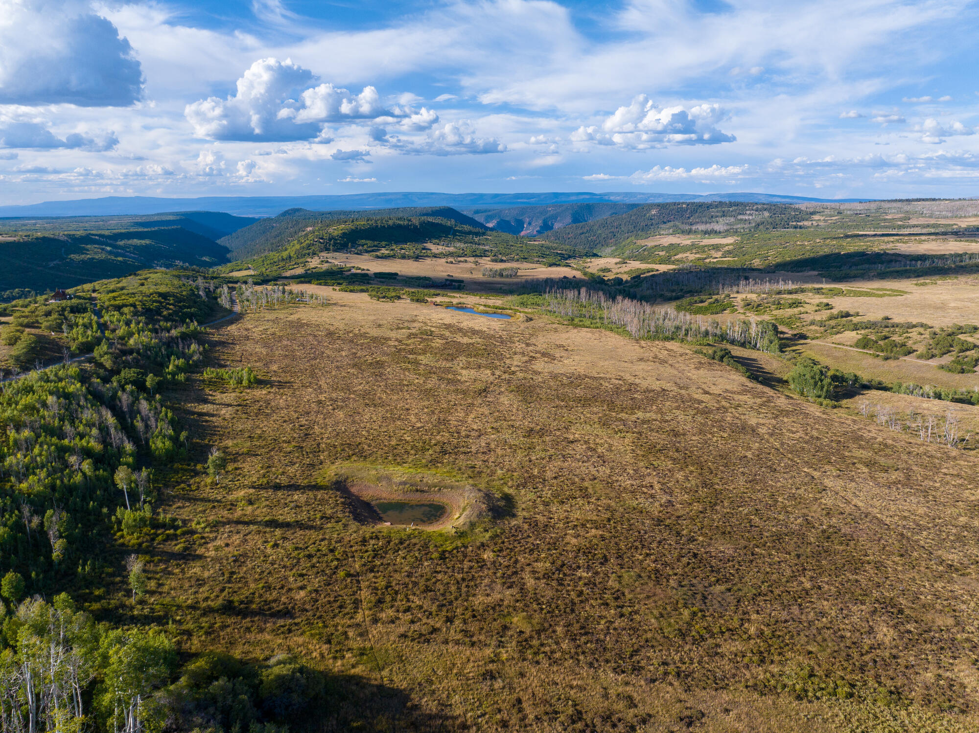 1006 Top of the World Drive