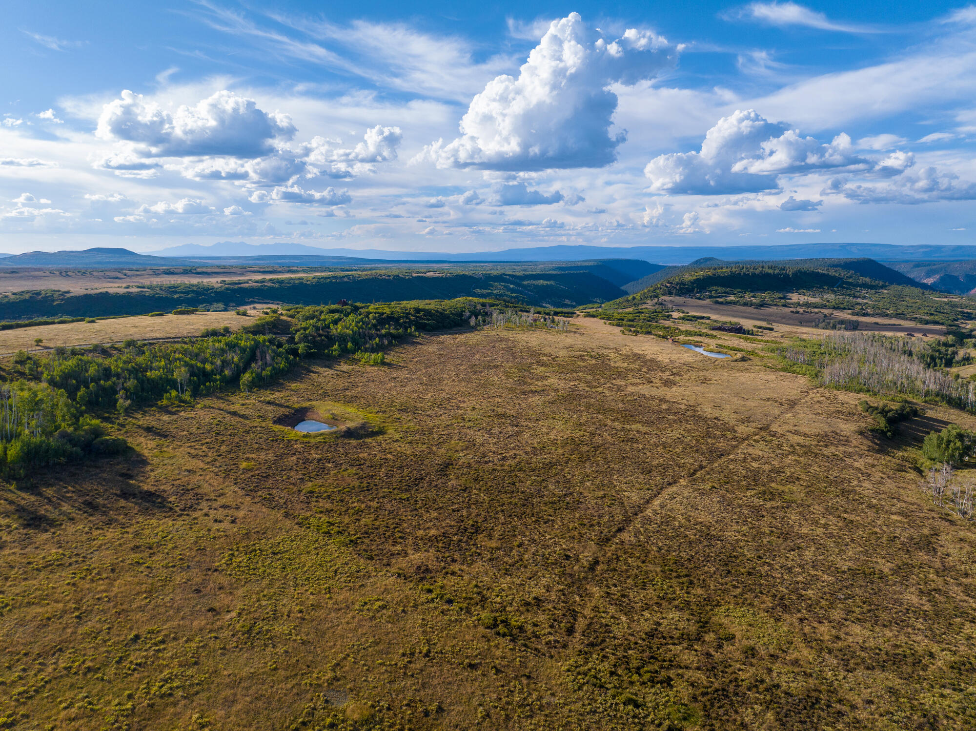 1006 Top of the World Drive
