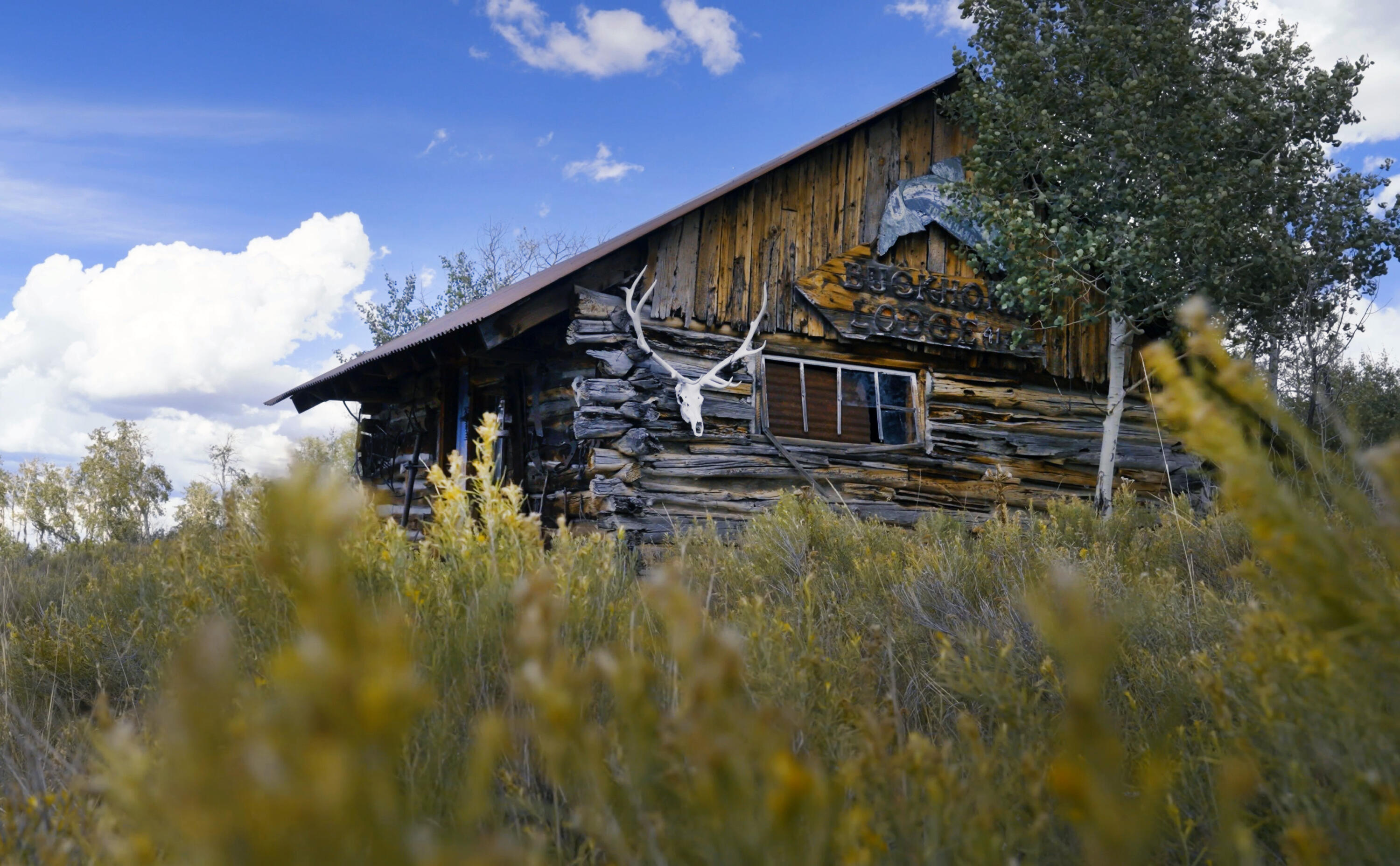 1006 Top of the World Drive