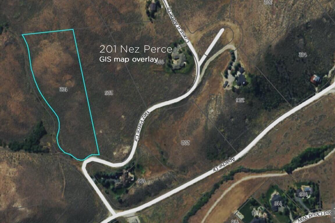 201 Nez Perce