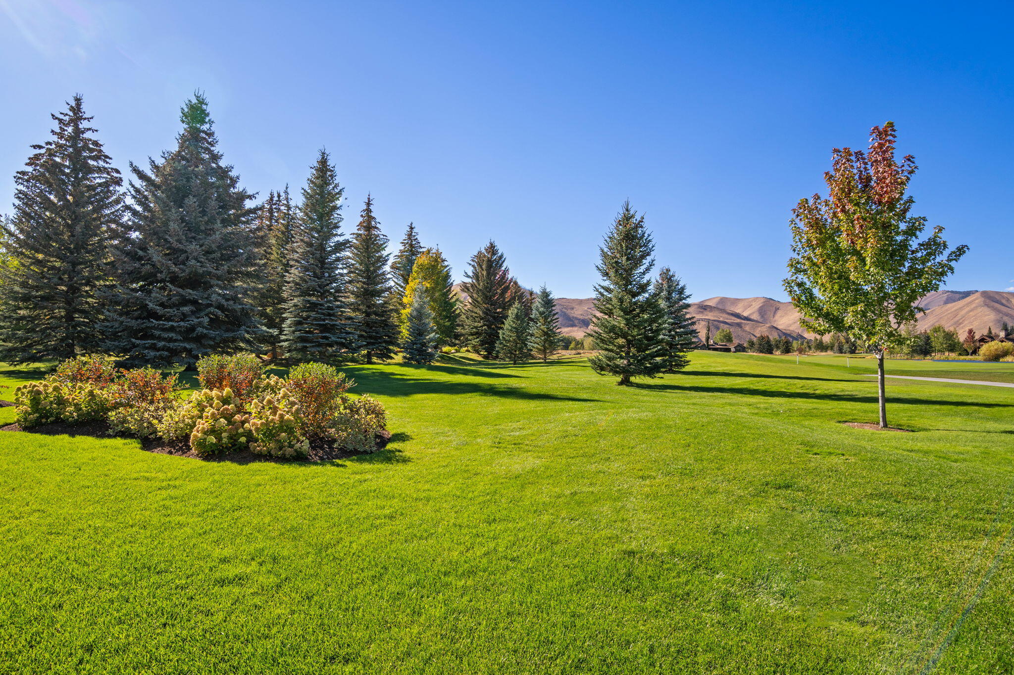11 HIDDEN LAKE Dr