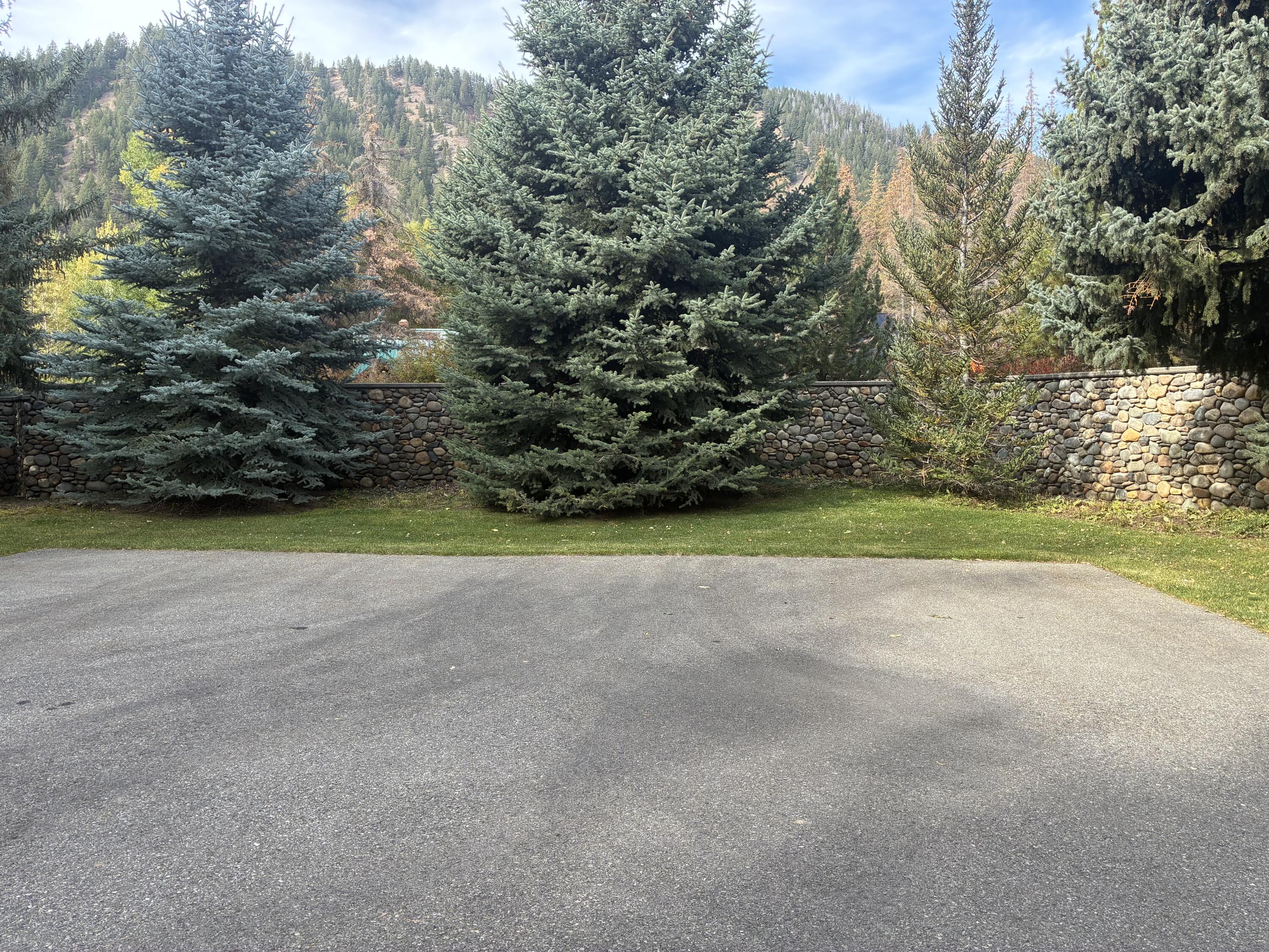 Paved driveway bordered by a stone wall and mature evergreens, with a wooded hillside beyond.