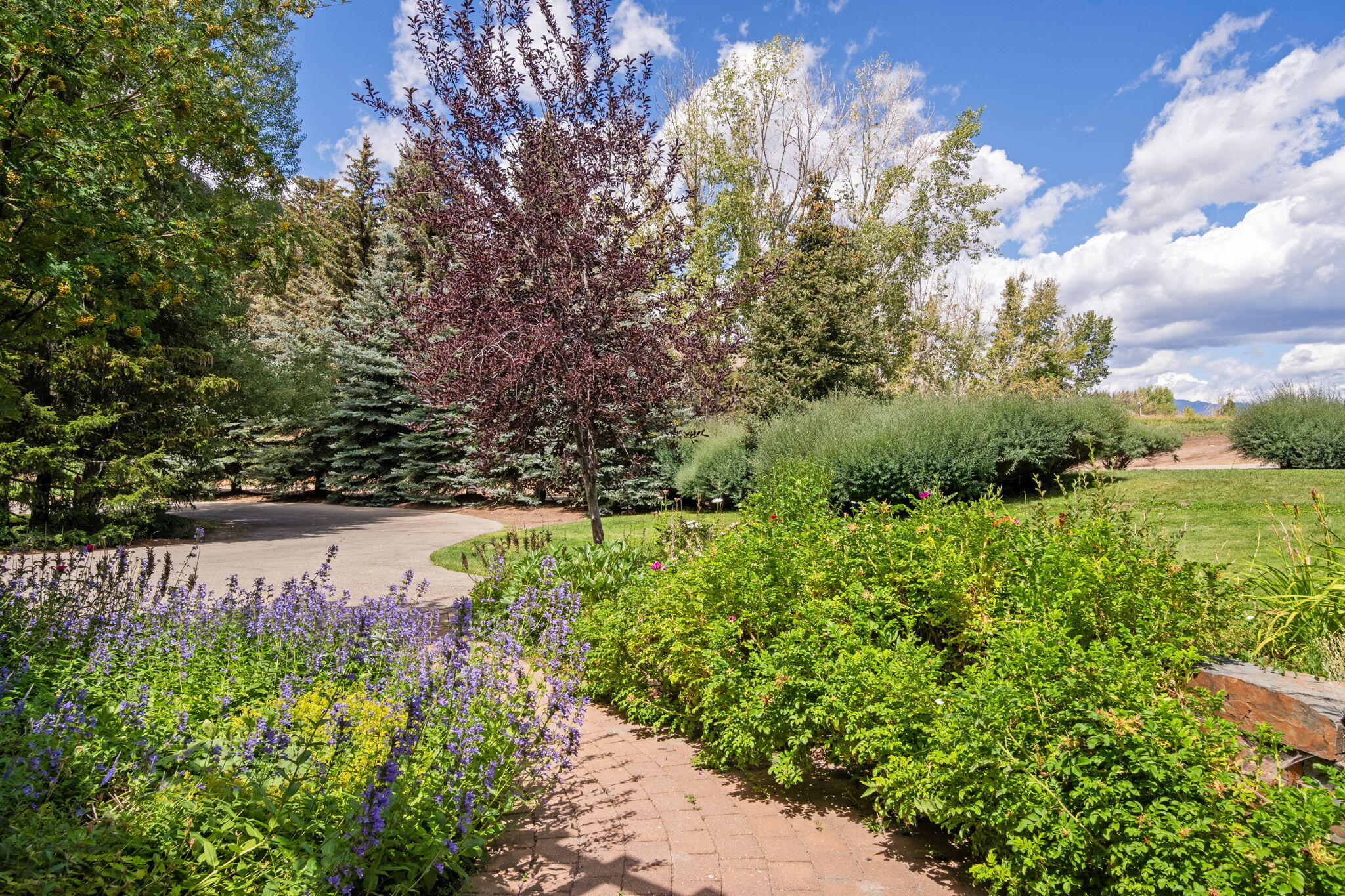 Landscaped garden with a curving path, flowering borders, mature trees, and distant mountains.