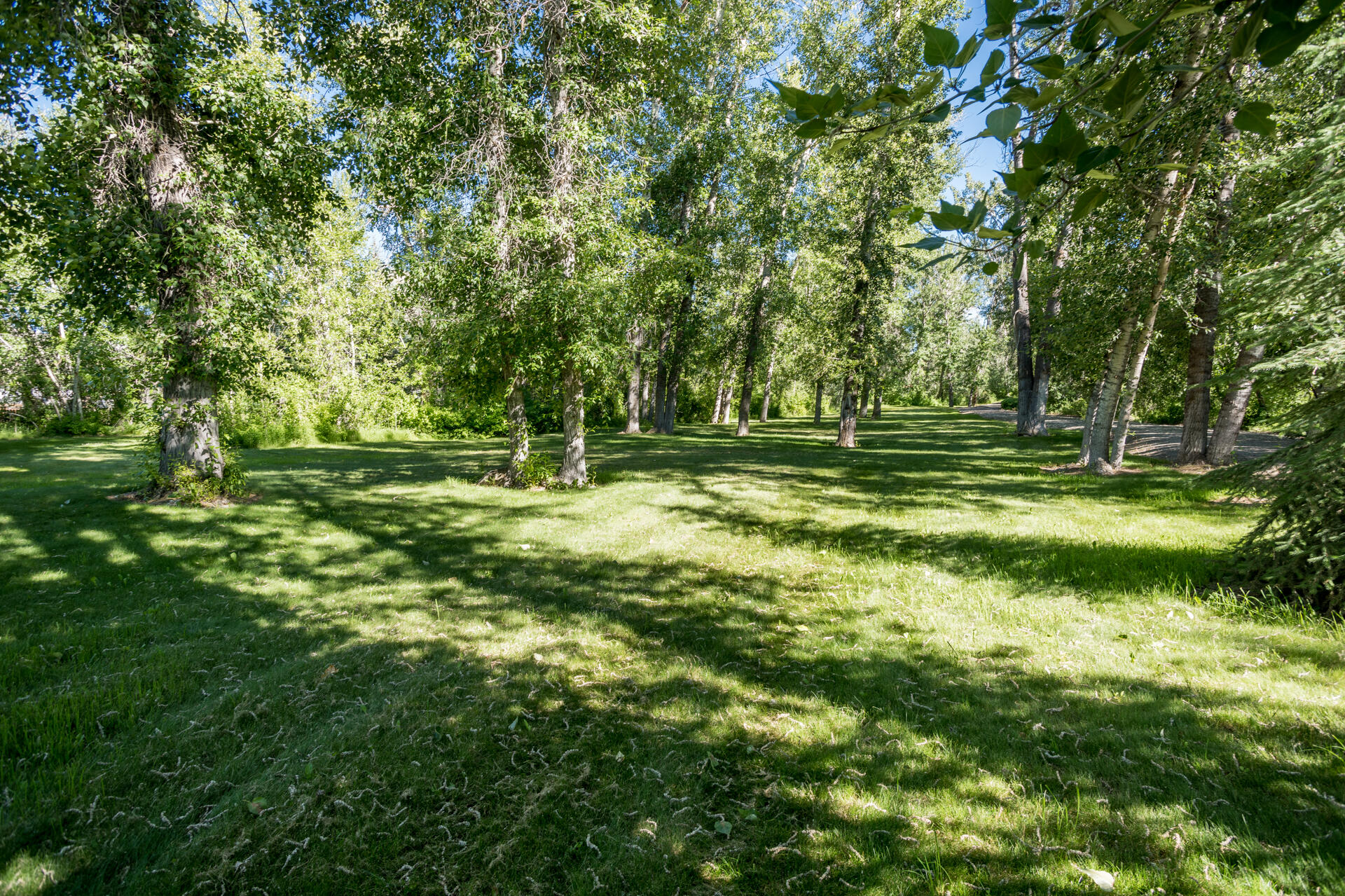 100 & 200 Trout Lane