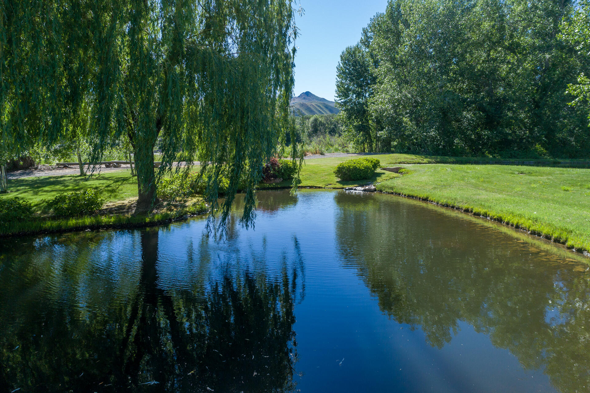 100 & 200 Trout Lane