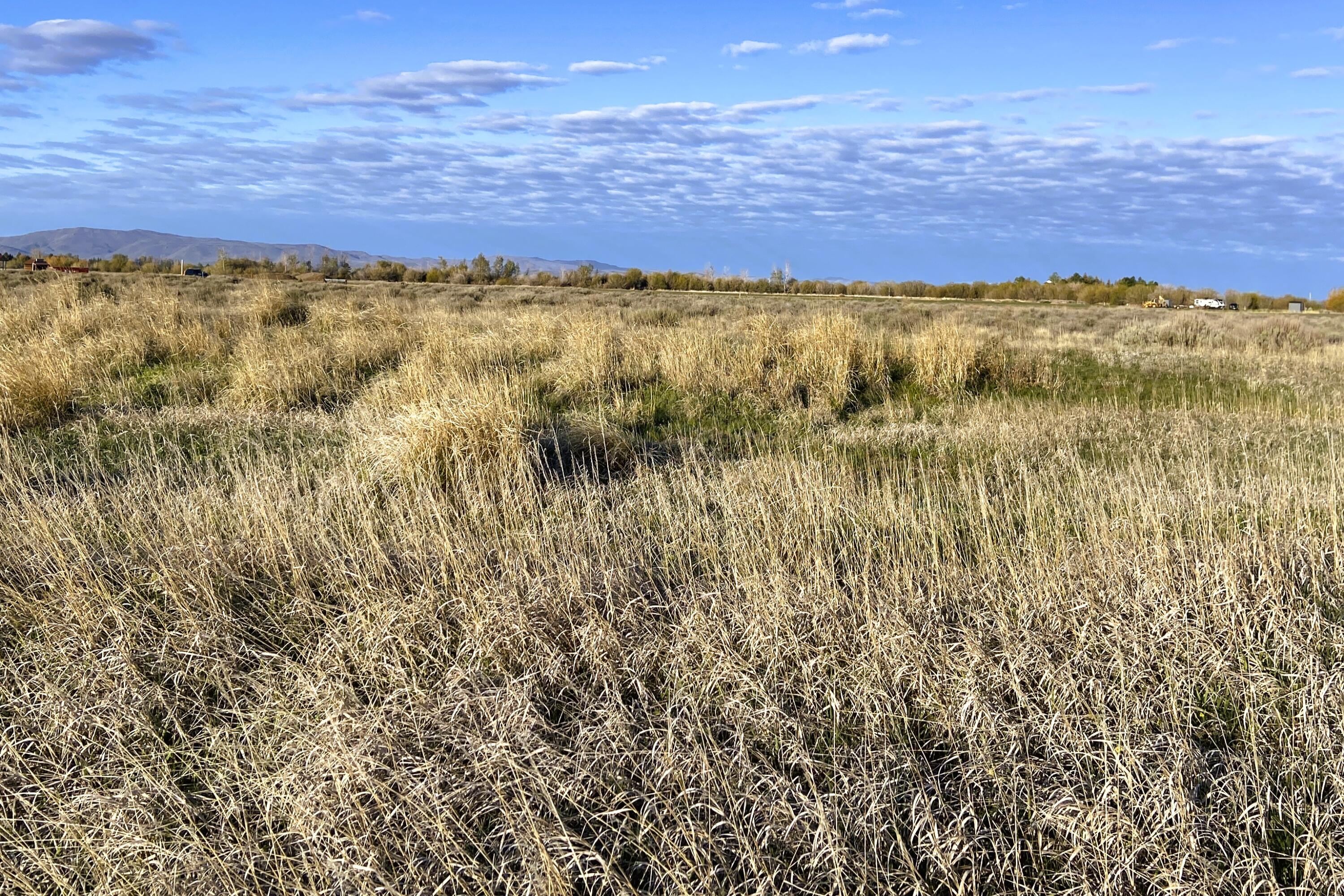 TBD Mountain View Cir